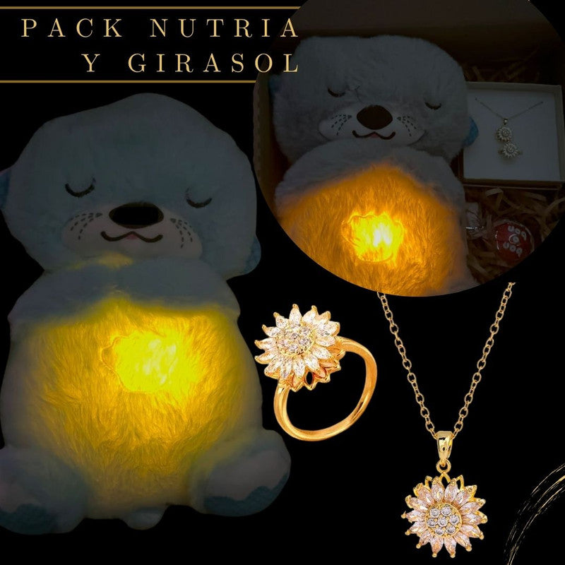 PACK NUTRIA , ANILLO Y COLLAR GIRASOL , CAJA DE REGALO